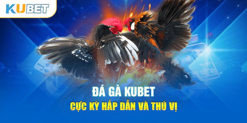 Game đá gà Kubet online cực kỳ hấp dẫn và thú vị